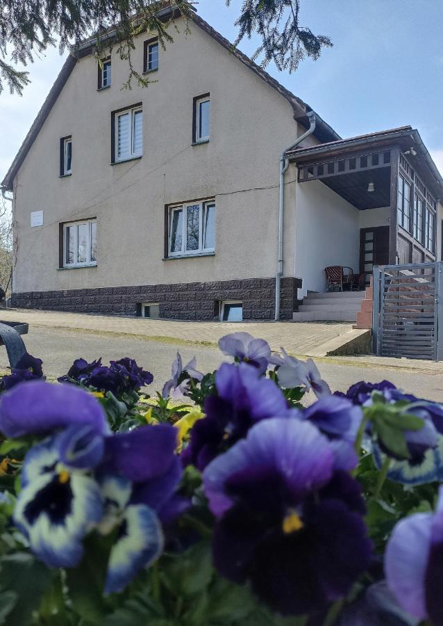 Agroturystyka Nad Bobrem Pilchowice 外观 照片
