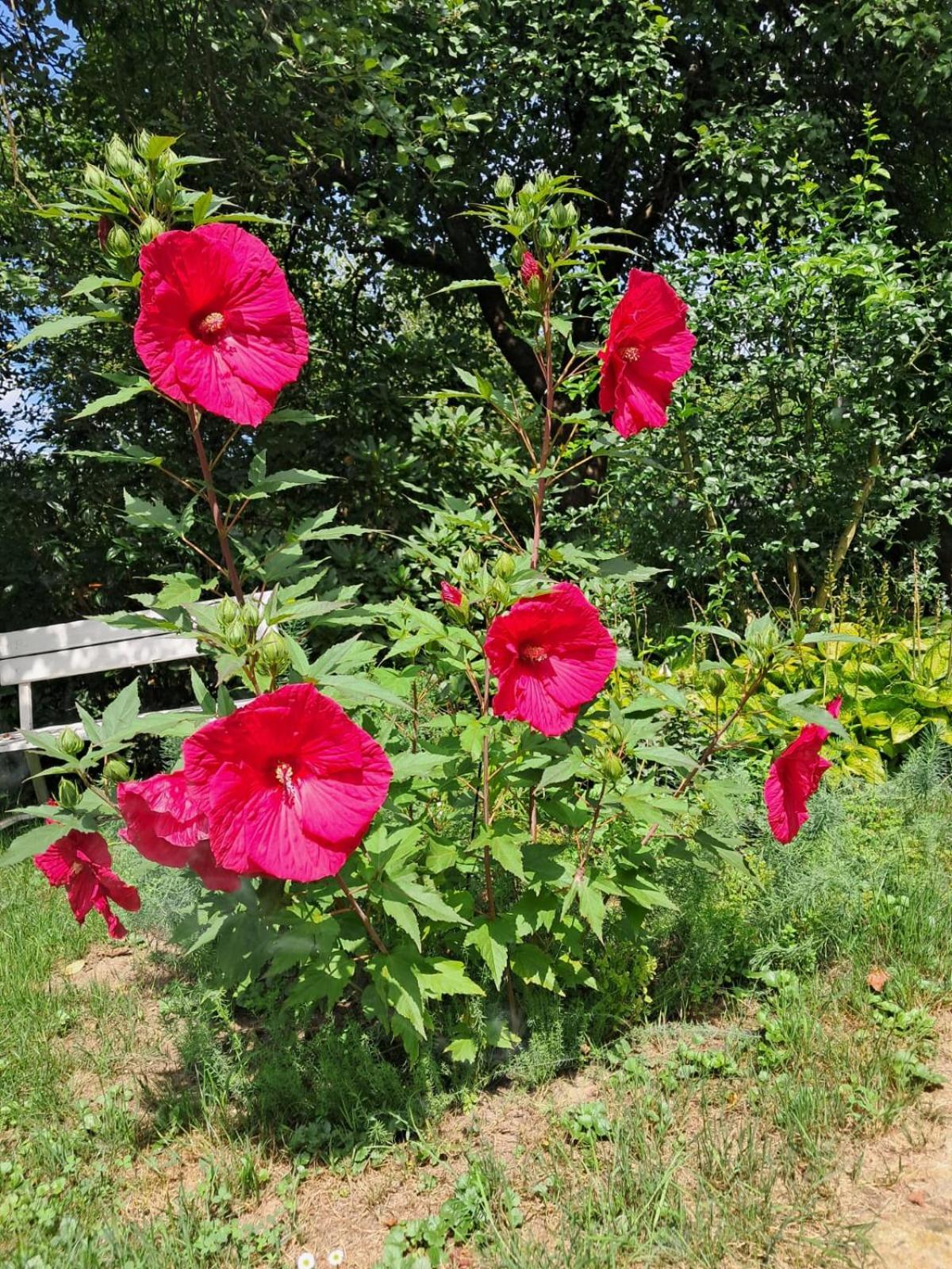 Agroturystyka Nad Bobrem Pilchowice 外观 照片